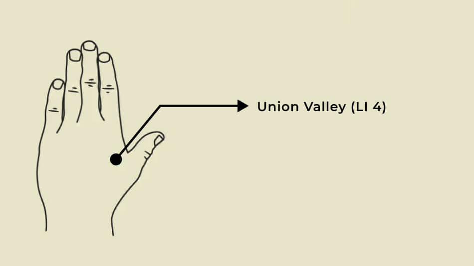 Union Valley (LI 4)
