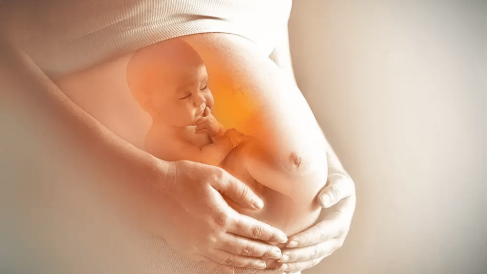 How To Clean Out Your Unborn Baby's System? 