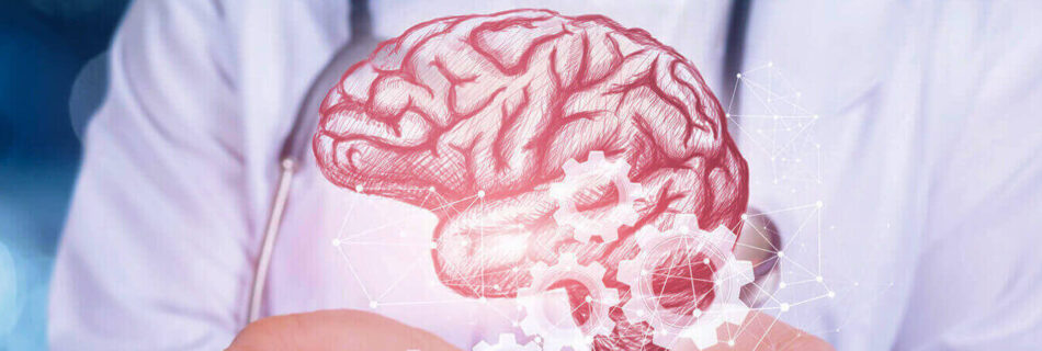 Everything You Need To Know About Brain Disorders