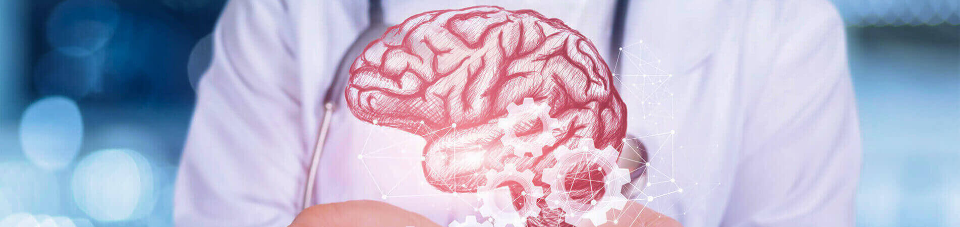 Everything You Need To Know About Brain Disorders