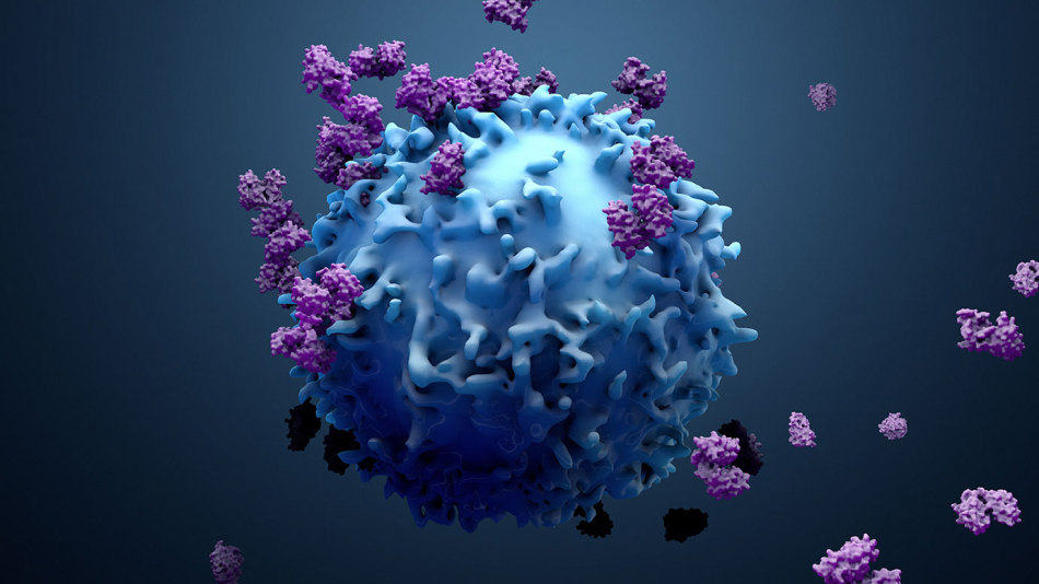 How Does Immunotherapy Work_